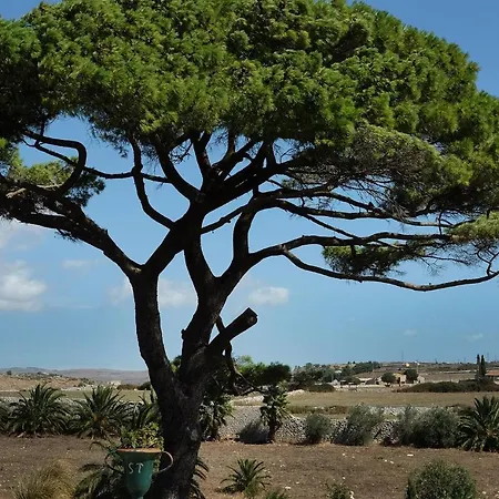 Castiglione 1863 - The Real Sicilian *